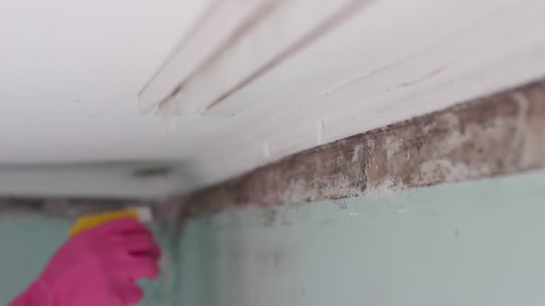 Best Residential Mold Inspection & Testing  in Milltown, NJ